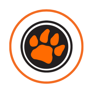 MTCS Sports